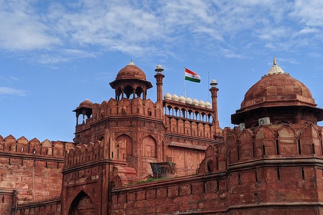 Delhi Sightseeing Tour (299 INR)
